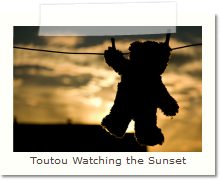 Toutou Watching the Sunset