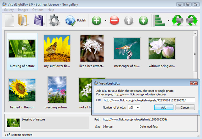 Flickr Gallery 4.8.3 full