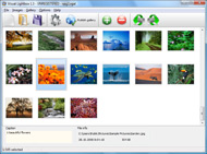 Asp Net Flickr Slideshow Flickr Slideshow White Background Color