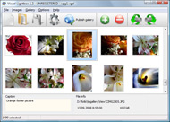 Autoplay Flickr Stream Flickr Slideshow Random