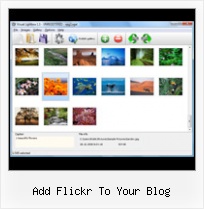 Add Flickr To Your Blog Autoreplay Flickr Slideshow
