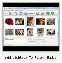 Add Lightbox To Flickr Badge Flickr Slideshow Music