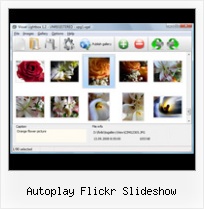 Autoplay Flickr Slideshow Flickr Image Gallery