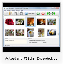 Autostart Flickr Embedded Slideshow Wall Flash Flickr