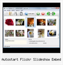 Autostart Flickr Slideshow Embed Copy Picture From Flickr