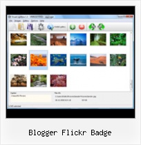 Blogger Flickr Badge Embedded Flickr Gallery