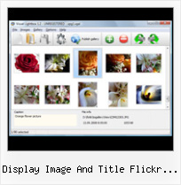 Display Image And Title Flickr Feed Obtener Flickr User Id