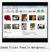 Embed Flickr Feed In Wordpress Json Wp Flickr Picture Grid
