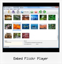 Embed Flickr Player Flickr Thumbnail Widget Wordpress