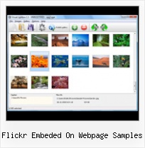 Flickr Embeded On Webpage Samples Html Embed Flickr Group