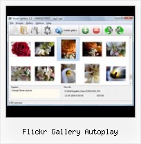 Flickr Gallery Autoplay Flickr Widget Appear In Lightbox