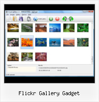 Flickr Gallery Gadget Flickr Embedded Slideshow Auto Repeat