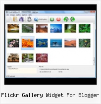 Flickr Gallery Widget For Blogger Desktop Gadgets Flickr