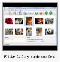 Flickr Gallery Wordpress Demo Custom Flickrslidr