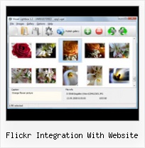 Flickr Integration With Website Small Flicker Feed Widget