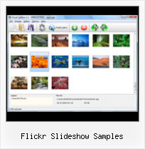 Flickr Slideshow Samples Get Flickr Set With Json