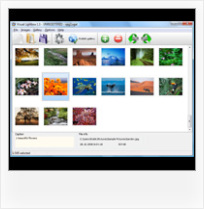 Flickr Web Album Plugin Control Speed Examples Of Drupal Flickrsets