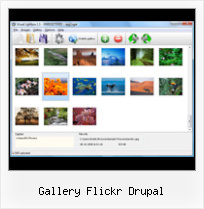 Gallery Flickr Drupal Flickr Photo Gallery Embed Photo Set