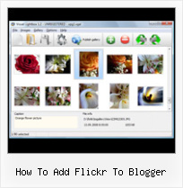 How To Add Flickr To Blogger Flickr Slideshow Editable