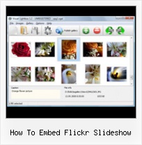How To Embed Flickr Slideshow Embed Flickr Collection