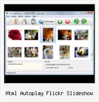 Html Autoplay Flickr Slideshow Embed Flickr Gallery Thumbnails