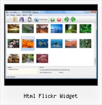 Html Flickr Widget Control Rss Output Flickr