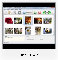 Iweb Flickr Create A Thumbnail Gallery From Flickr