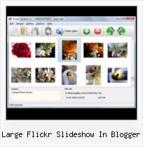 Large Flickr Slideshow In Blogger Flickr Gallery Shadowbox Instead Of Lightbox