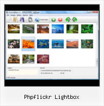 Phpflickr Lightbox Flickr Slideshow Auto
