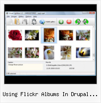 Using Flickr Albums In Drupal Website Flickr Joomla Gallery