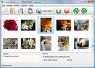 Flickr Style Photo Gallery Autostart Flickr Embed Codes