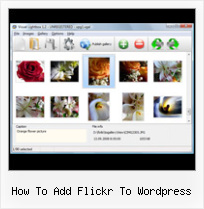 How To Add Flickr To Wordpress Flickr Embed Thumbnails
